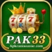PAK33 Game Download free